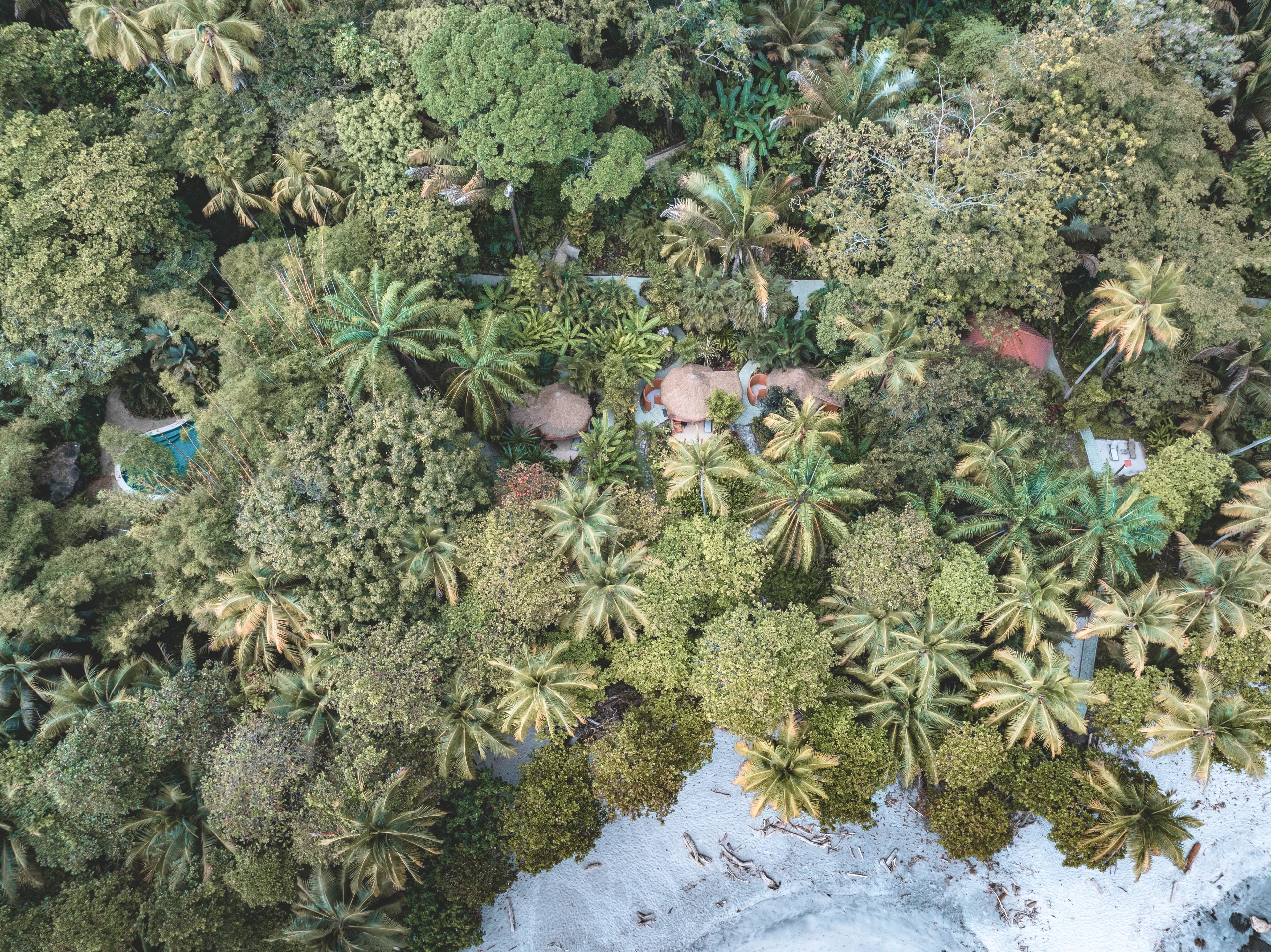 View from above of the beach bungalows and coco joes Bungalow