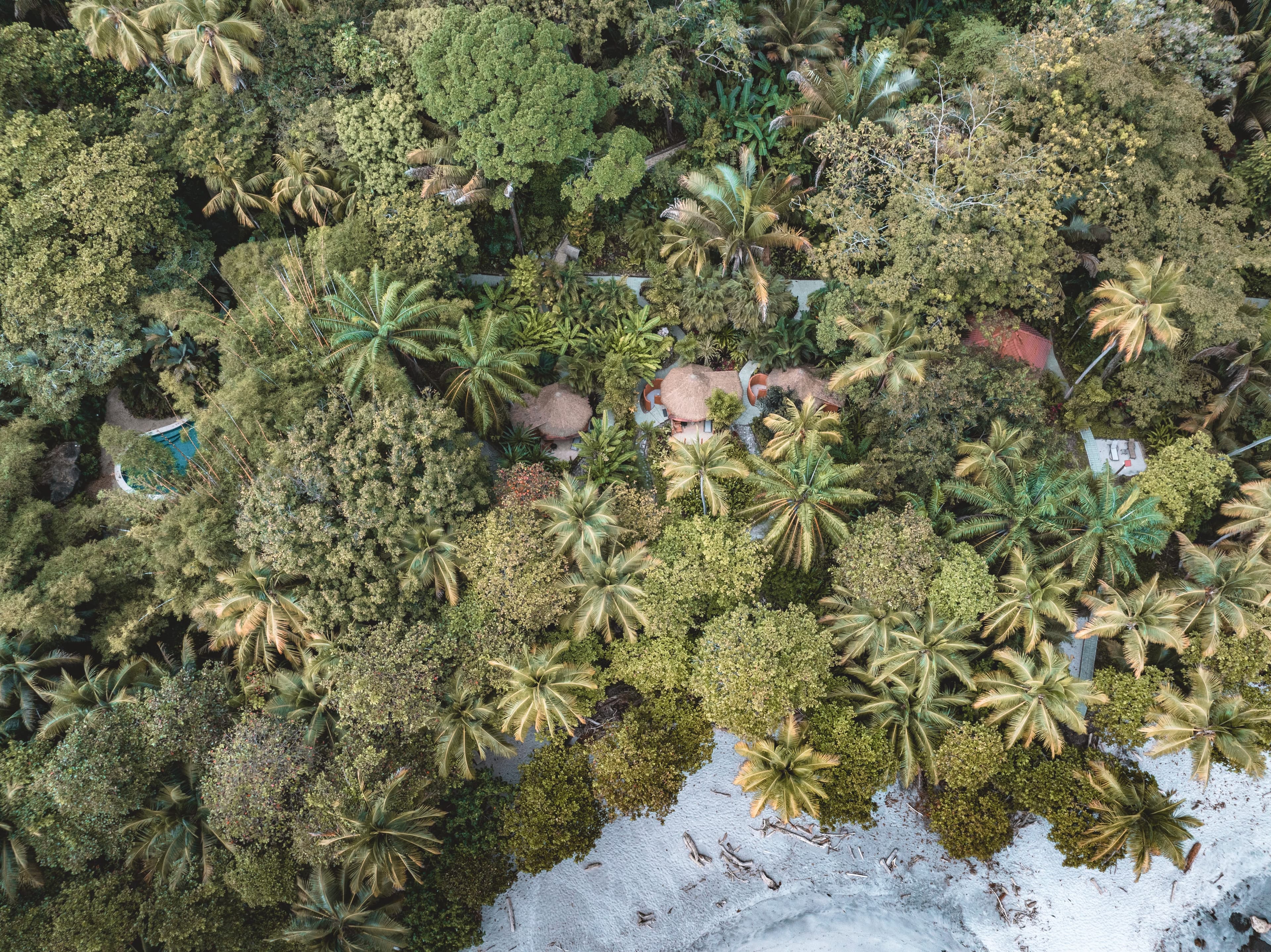 Bungalows in the jungle