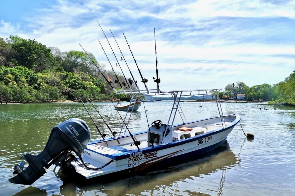 Several small fishing boats with multiple fishing rods on the water near the shore