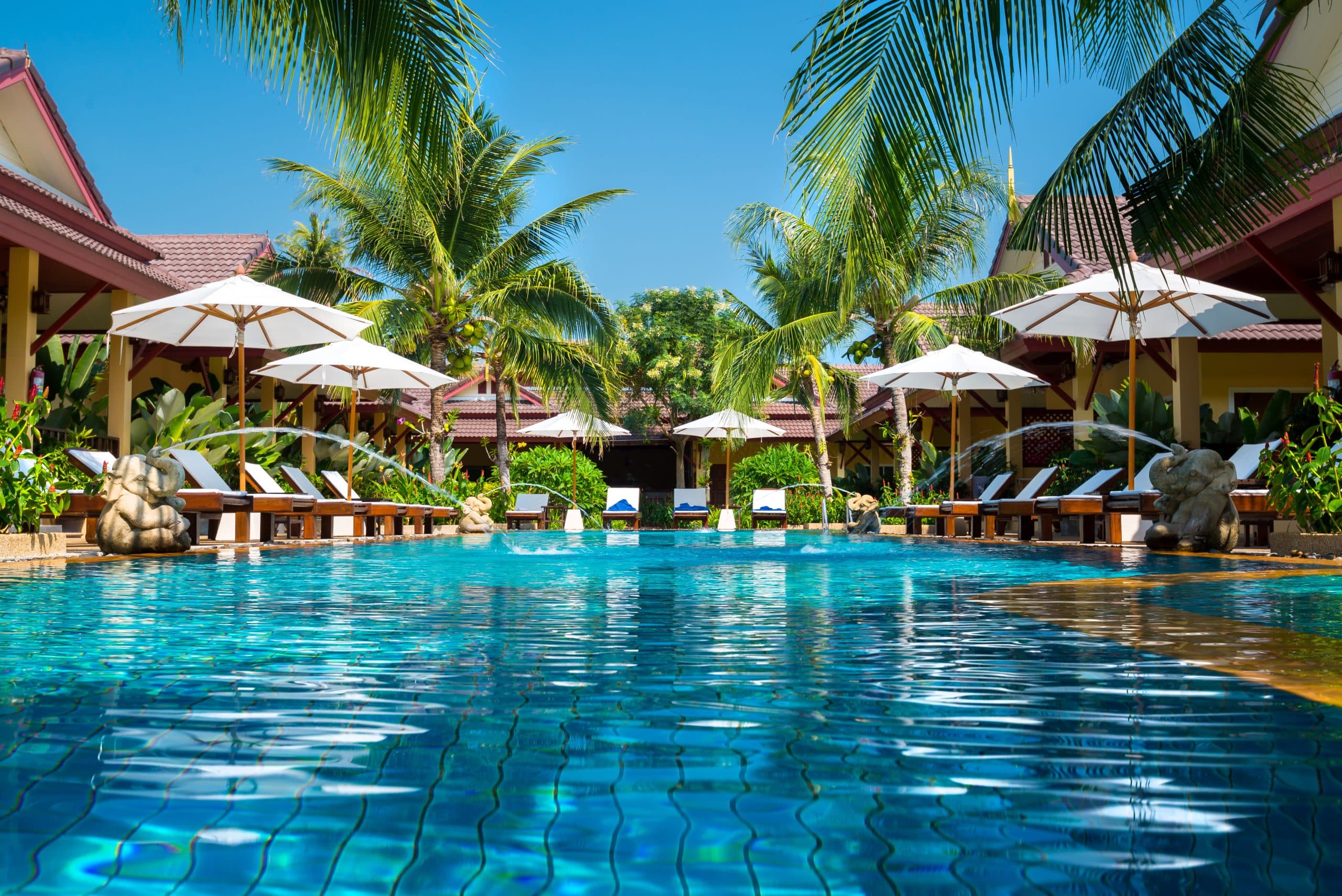 A tranquil pool surrounded by palm trees and lounge chairs at a resort. A tranquil pool surrounded by palm trees and lounge chairs at a resort.