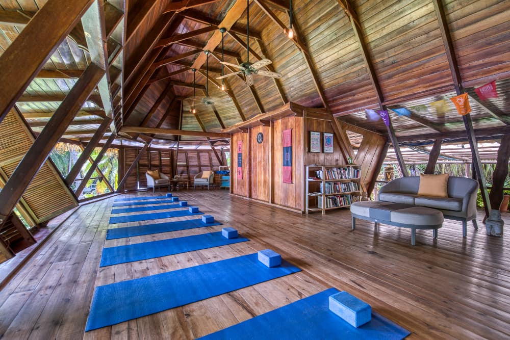 Yoga studio with wooden floors and walls, ceiling fans, and a row of blue floor mats laid out