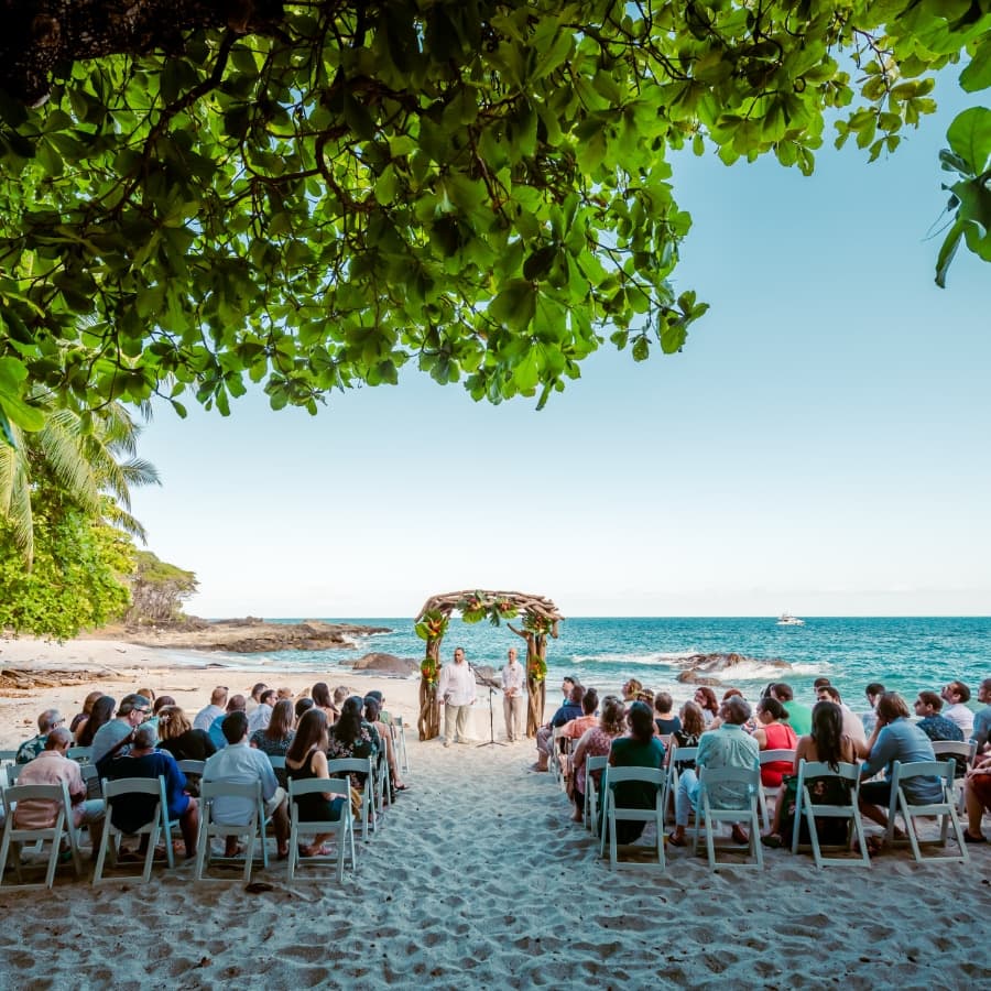 A beach wedding ceremony takes place under a floral arch, surrounded by seated guests and a scenic ocean backdrop.