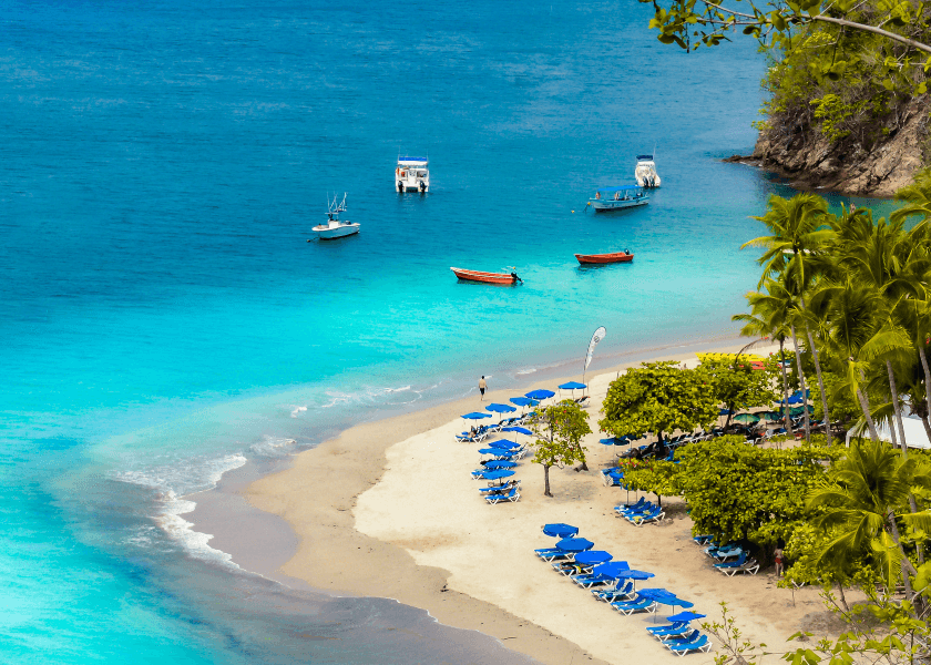 A scenic beach with blue lounge chairs, palm trees, and boats on turquoise waters. A scenic beach with blue lounge chairs, palm trees, and boats on turquoise waters.
