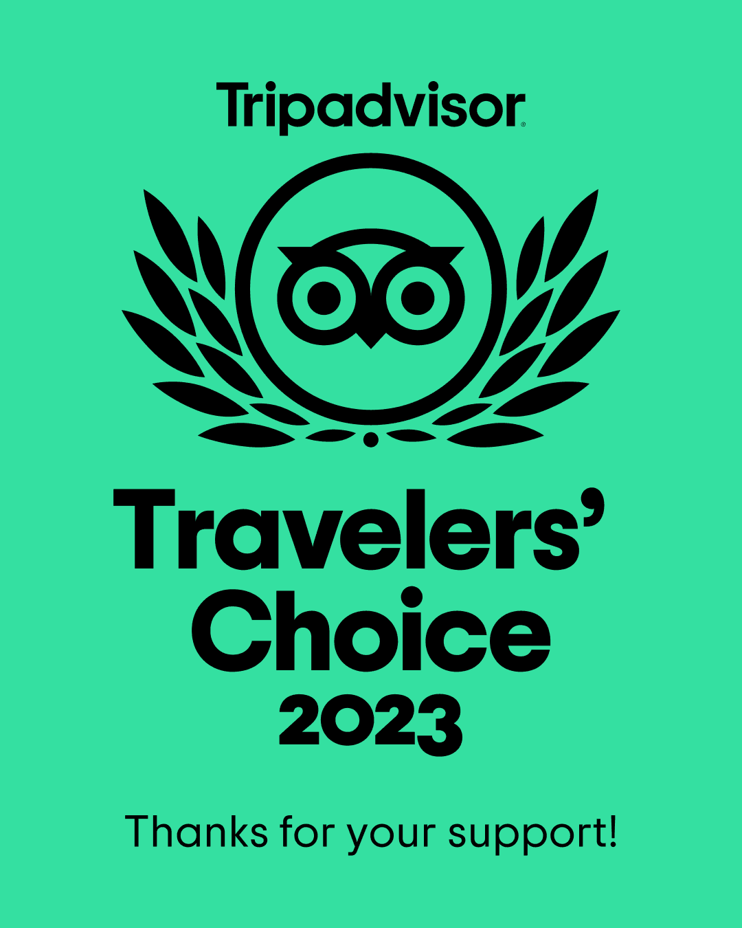 TripAdvisor Logo for 2023 Traveler's Choice Award