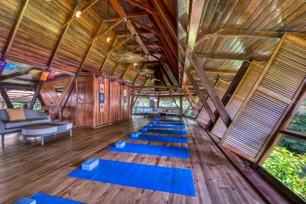 Yoga studio with wooden floors, walls and ceilings, ceiling fans, and a row of blue floor mats laid out
