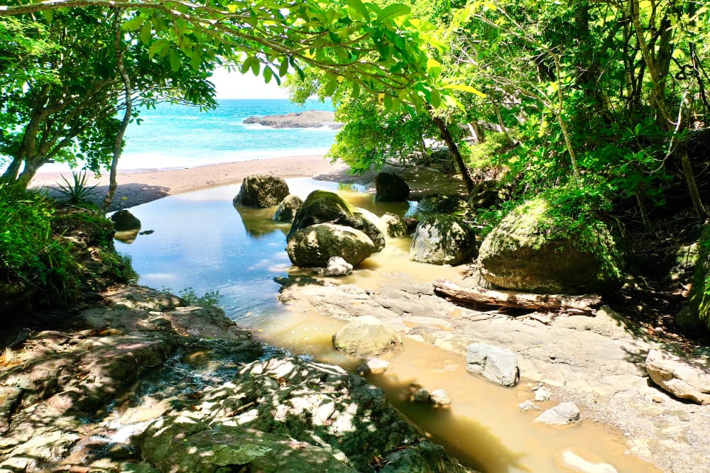 A river edged with sand and rocks beside lush tropical foliage with the ocean in the background