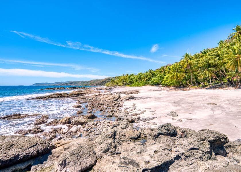 A scenic beach with rocky outcrops and a backdrop of palm trees under a clear blue sky. A scenic beach with rocky outcrops and a backdrop of palm trees under a clear blue sky.
