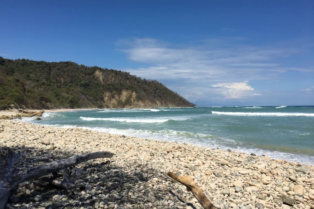A rocky shore with driftwood and ocean waves lapping the coastline with a brilliant blue sky above