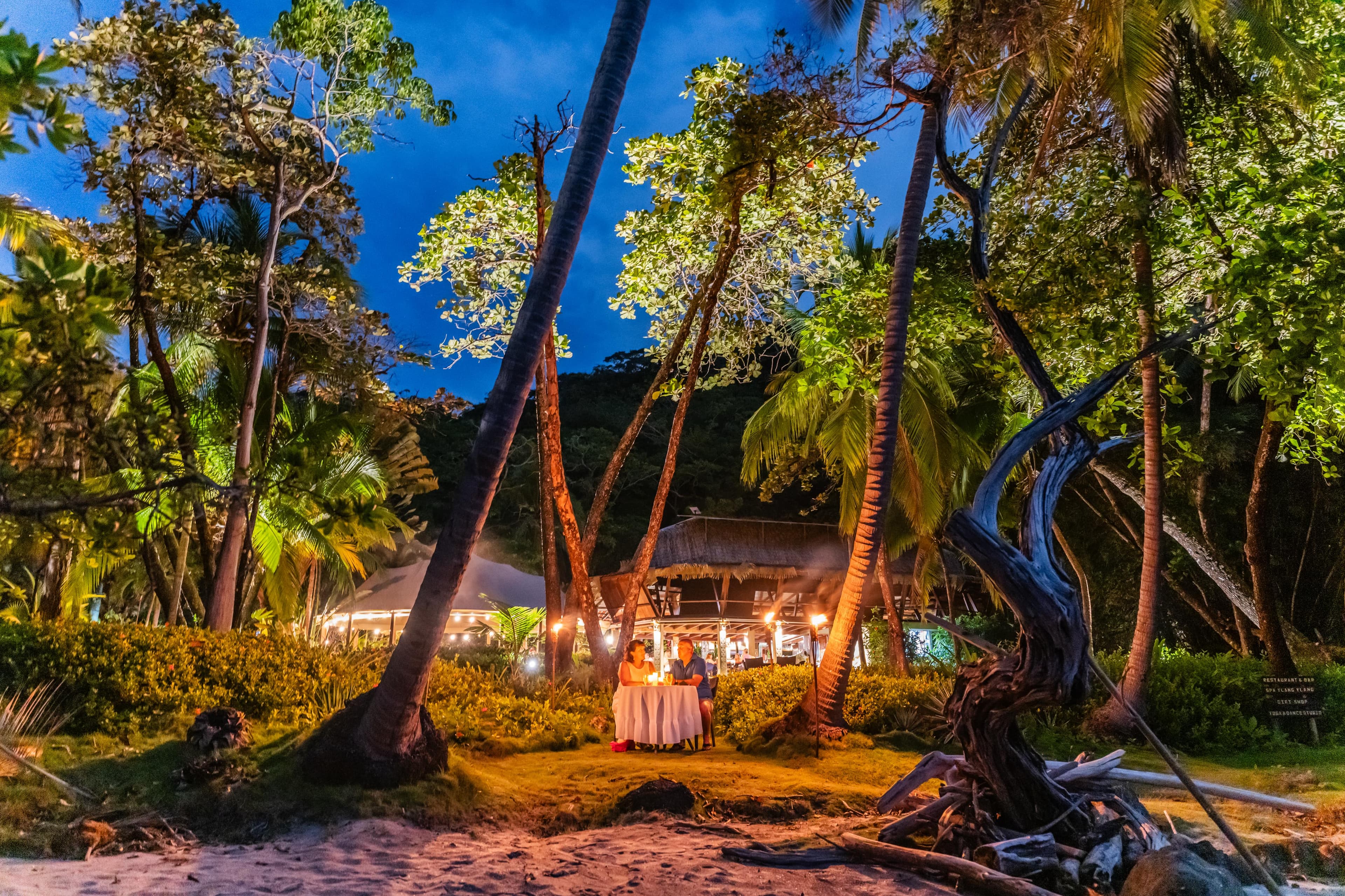 A romantic dining setup is illuminated under palm trees at twilight on a beach.