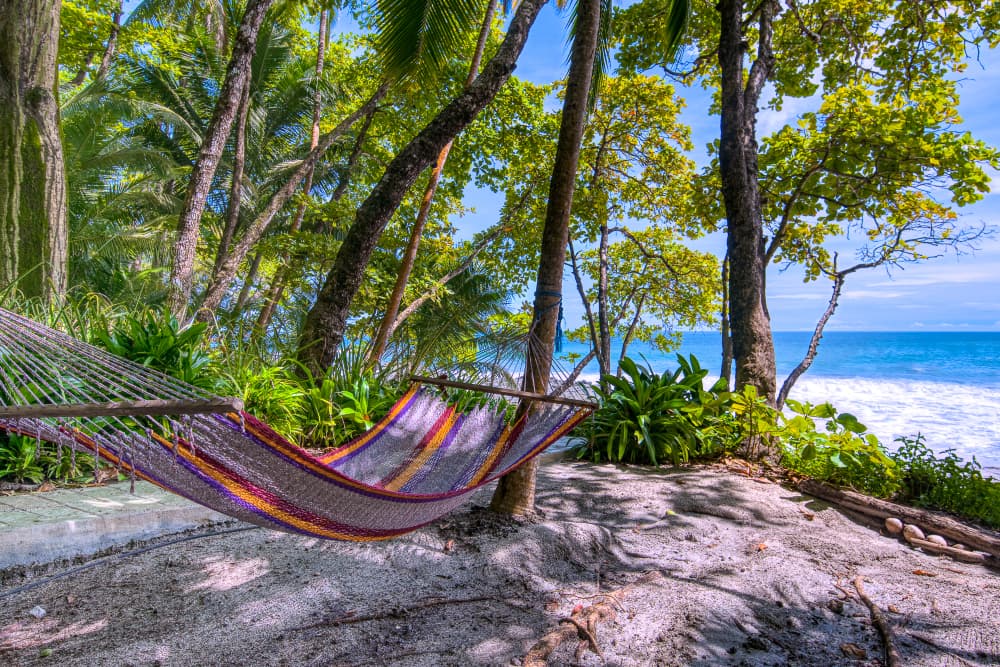 A colorful, striped hammock hanging under palm trees with the ocean in the background