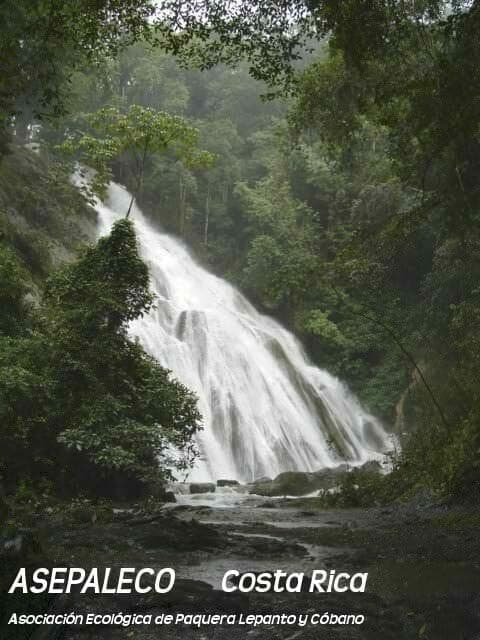 A large waterfall cascading down a jungle cliff covered in dense tropical foliage