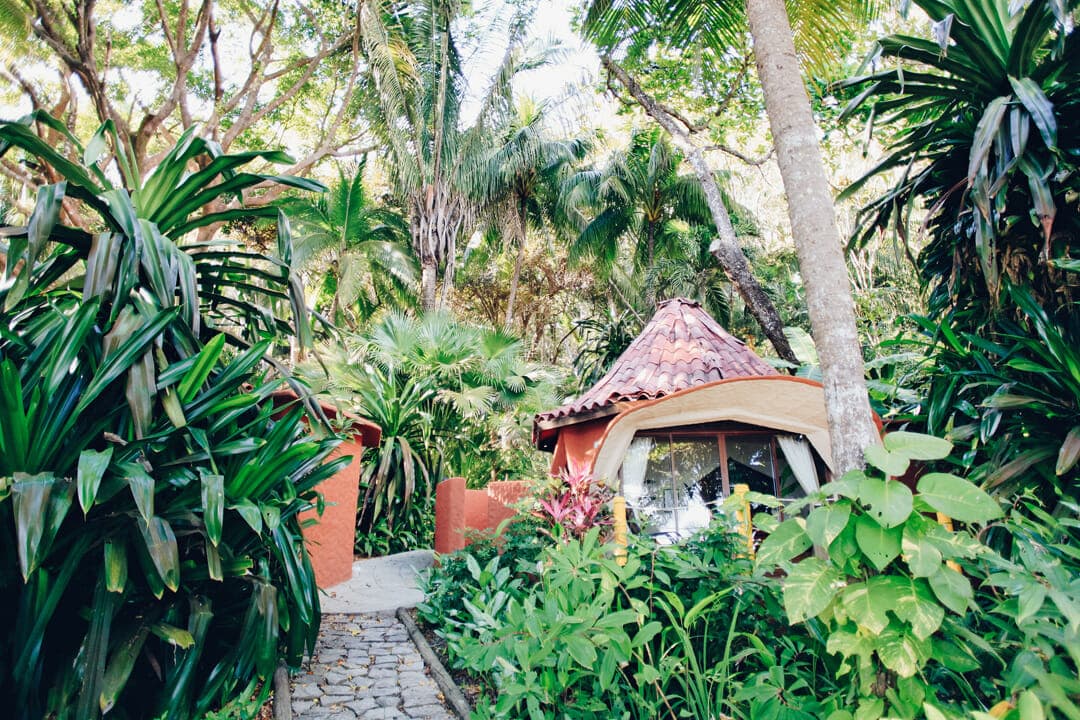 A cozy, round cottage nestled among lush tropical foliage.
