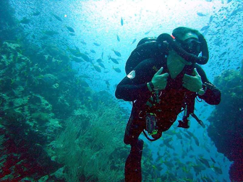 A scuba diver exploring a vibrant underwater scene filled with fish and coral. A scuba diver exploring a vibrant underwater scene filled with fish and coral.