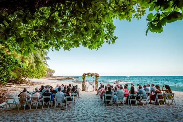A wedding ceremony takes place on a sandy beach under a lush green canopy, with guests seated on white chairs facing the couple. A wedding ceremony takes place on a sandy beach under a lush green canopy, with guests seated on white chairs facing the couple.