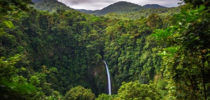 la fortuna waterfall cascades through dense green rainforest surrounded by lush mountains and tropical foliage